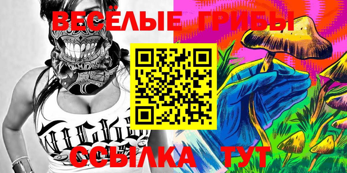 Псилоцибиновые грибы Psilocybine cubensis Смоленск